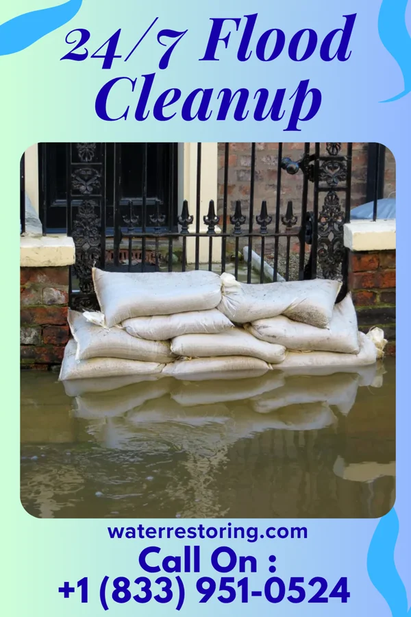 24/7 Flood Cleanup in Pepin, WI