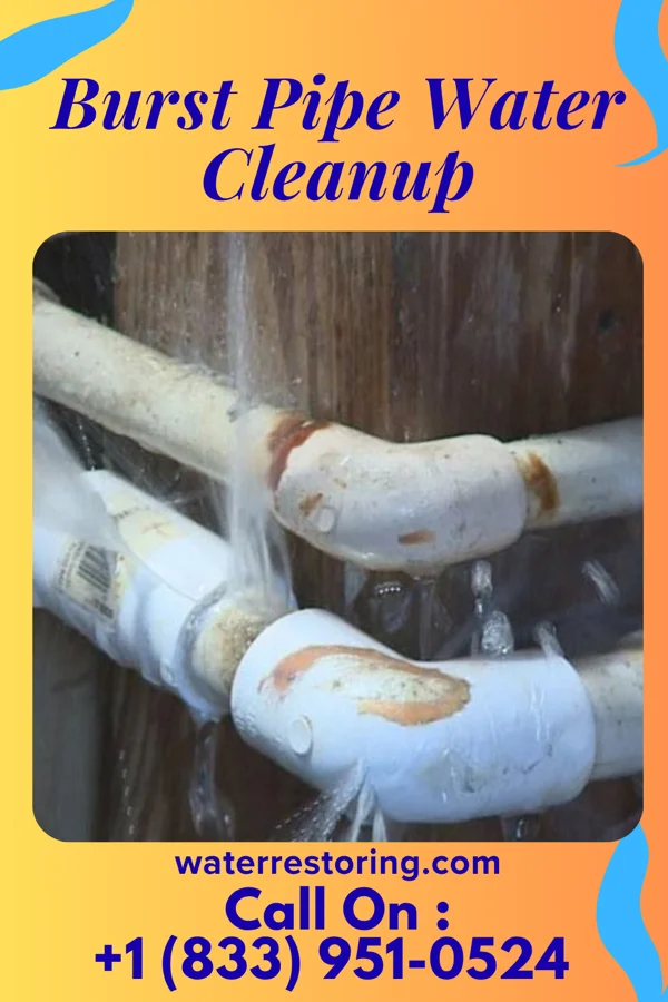 Burst Pipe Water Cleanup in Pepin, WI