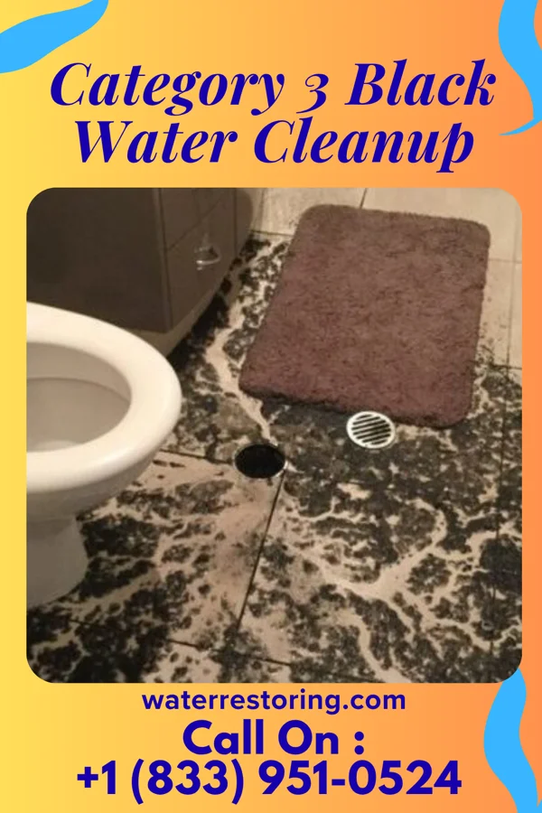 Category 3 Black Water Cleanup in Pepin, WI