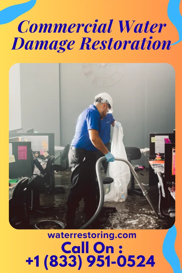 Commercial Water Damage Restoration in Pepin, WI