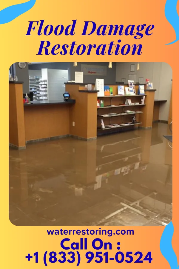 Flood Damage Restoration in Pepin, WI