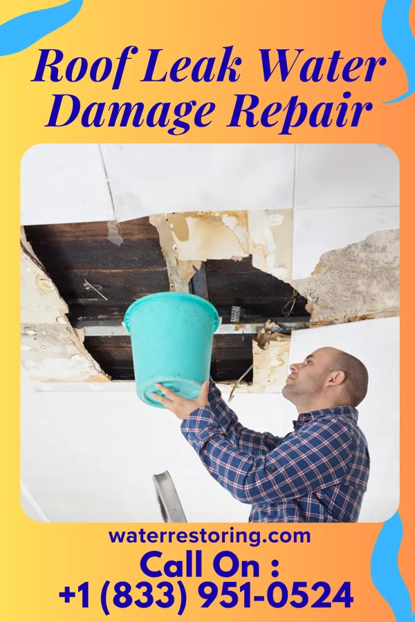 Roof Leak Water Damage Repair in Pepin, WI