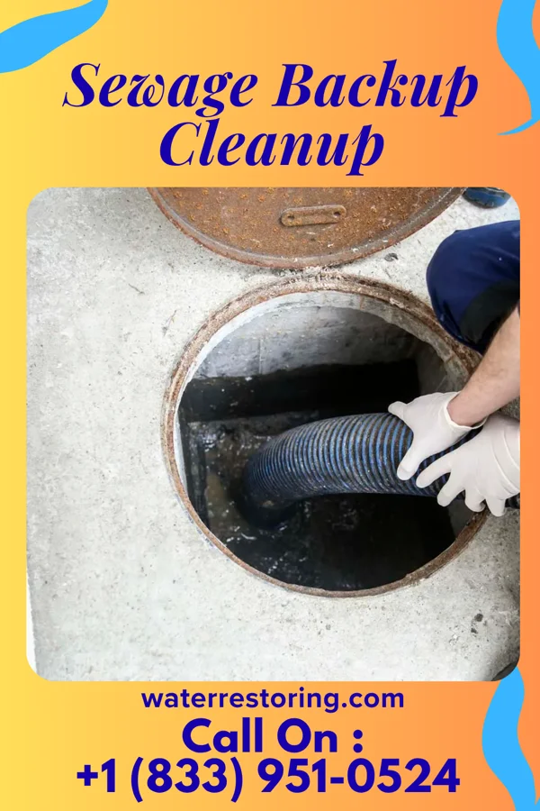 Sewage Backup Cleanup in Pepin, WI